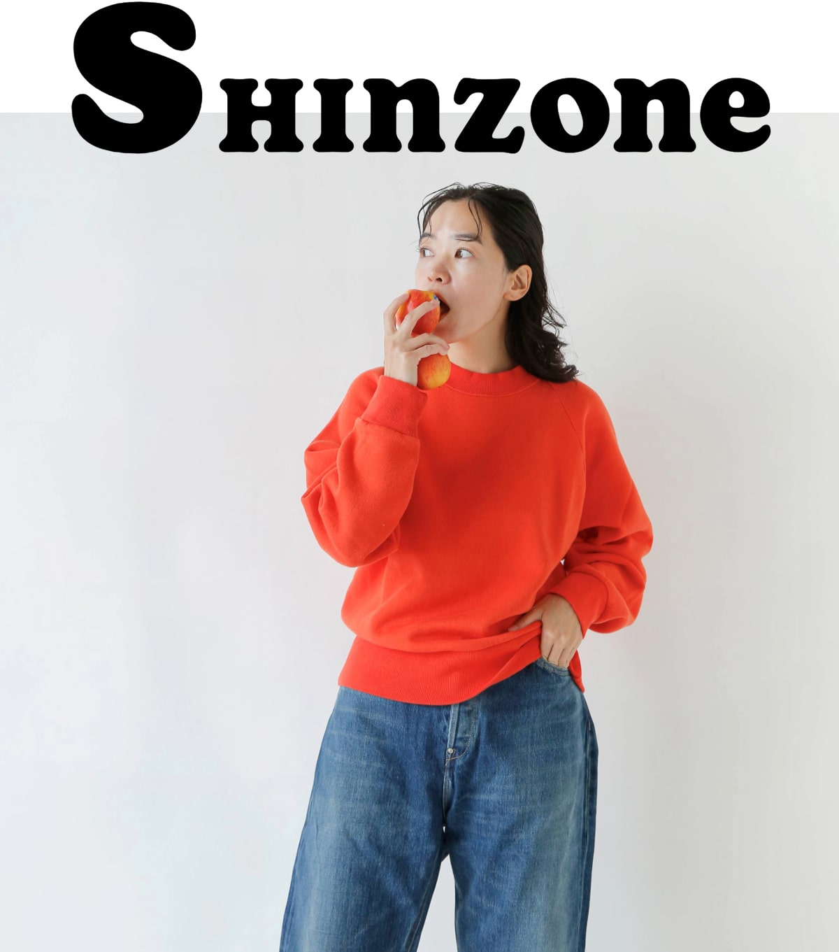 Shinzone